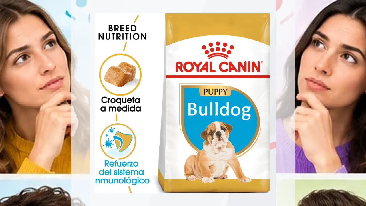 Royal Canin Bulldog Puppy Opiniones: una croqueta creada para su mandíbula braquicéfala