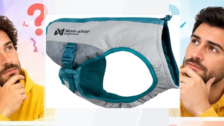Non-stop Dogwear