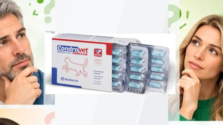 Gatos | Productos para la salud | Condroprotectores