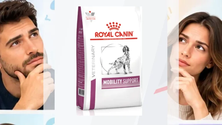 Perros | Dietas Veterinarias