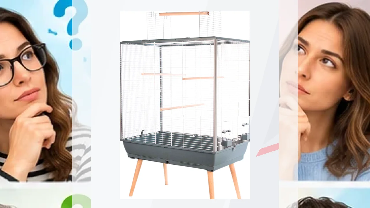 Zolux Neo Jili XL Jaula con percha exterior para pájaros