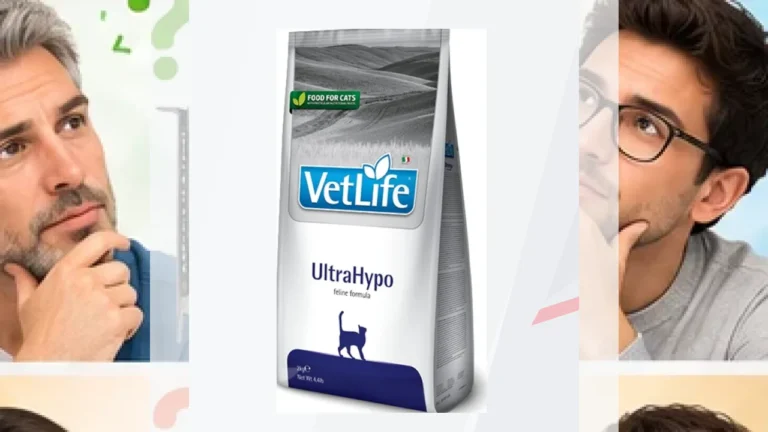 Gatos | Pienso para gatos | Pienso hipoalergénico