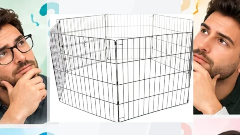 Perros | Transportines para perros | Parques
